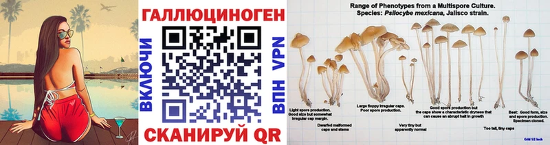 даркнет сайт  Новосокольники  Галлюциногенные грибы мицелий 